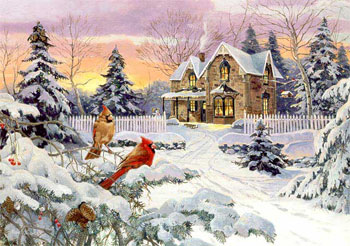 driss et nawal paur toujouer